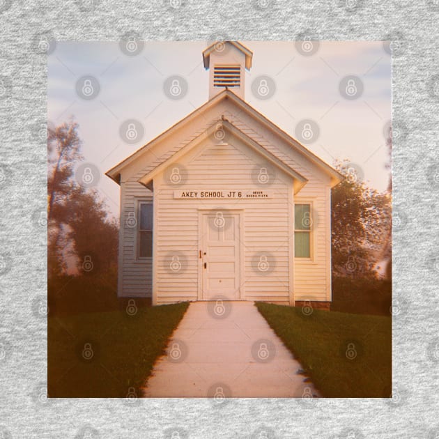 Wisconsin Rural Schoolhouse - Lomography Medium Format Diana F+ by ztrnorge